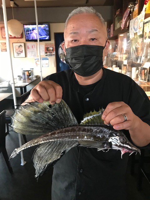 寝屋川市 居酒屋 魚お造 旬鮮やすらぎホームページ