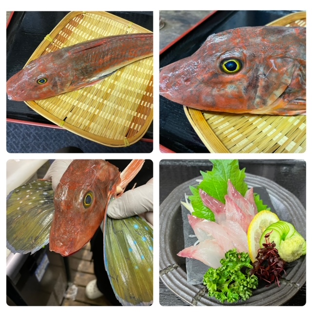 寝屋川市 居酒屋 魚お造 旬鮮やすらぎホームページ